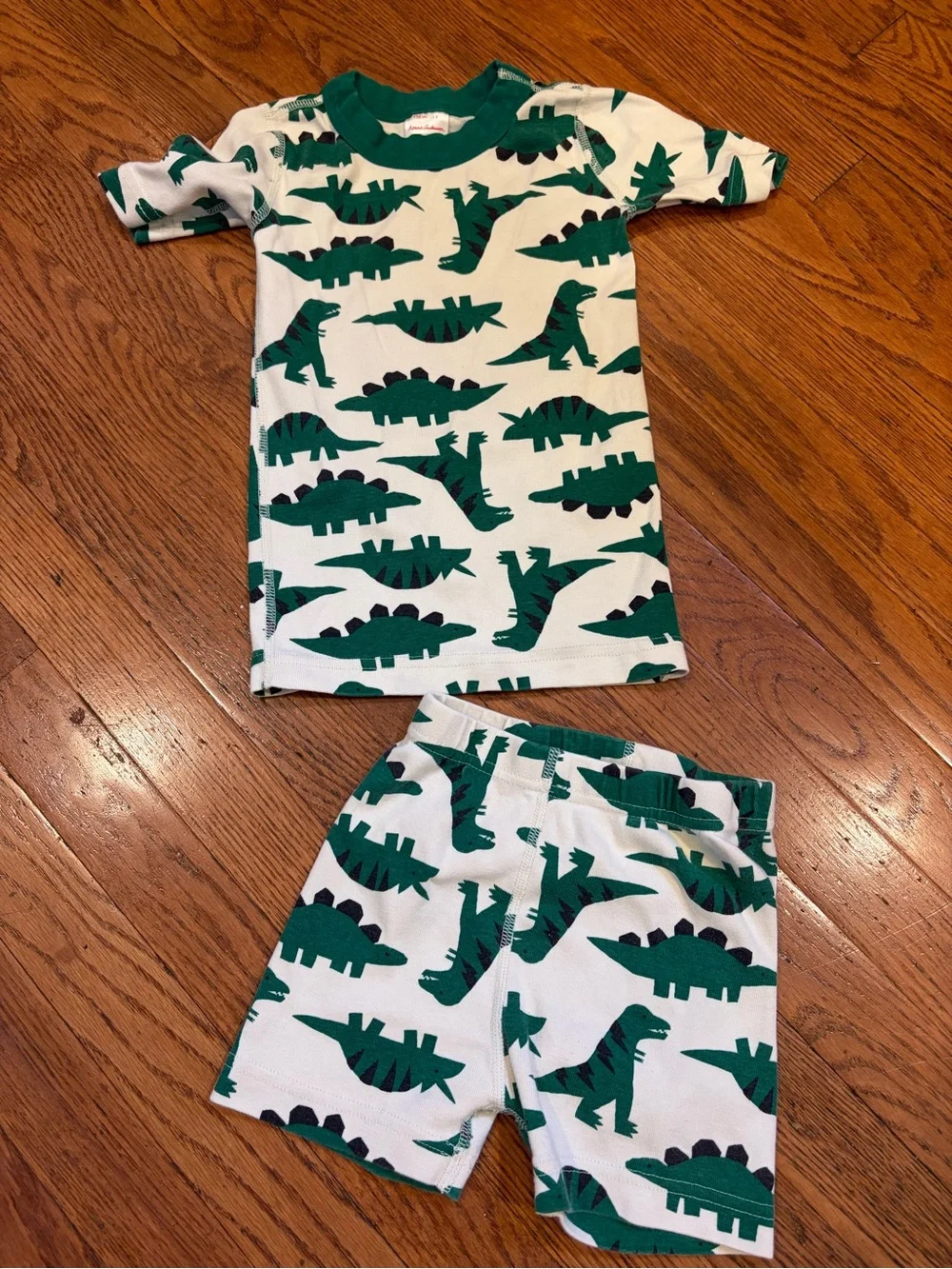 Green Dinosaur Kids Pajama Set